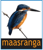 Maasranga TV (720p)